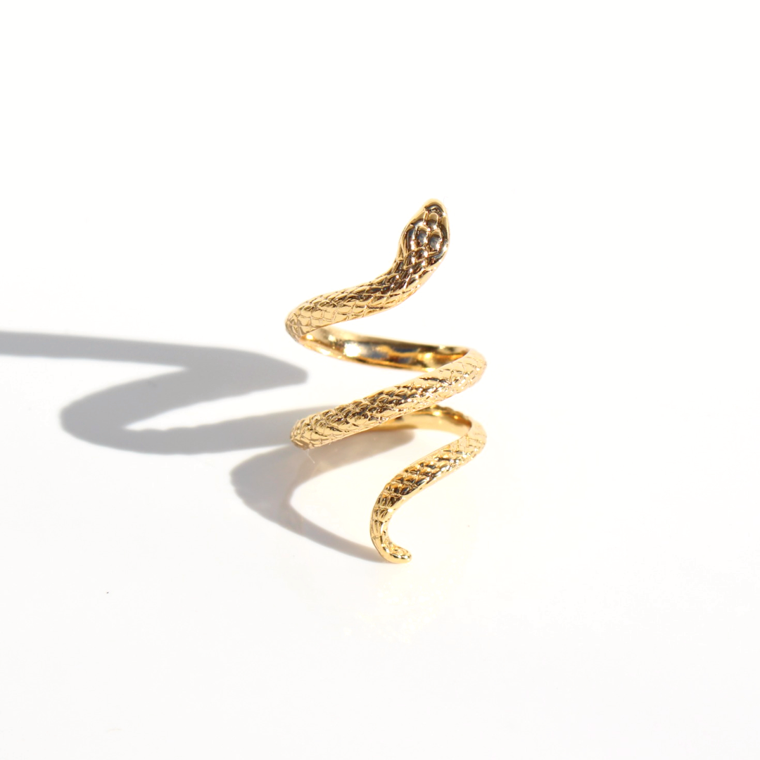 Ring | Snake